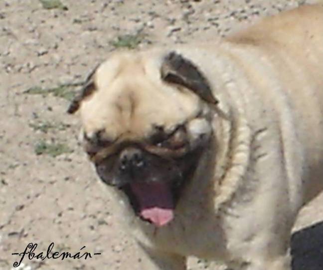 TRR TL EXPERIENCIAS RELATIVISTAS