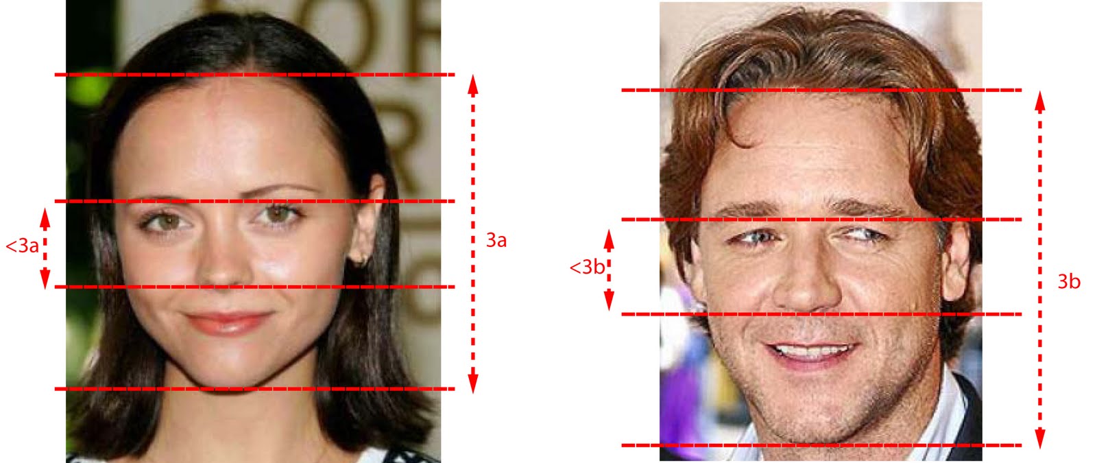 Отличить фото. Идеальные черты лица. Мелкие черты лица. Люди с длинным лицом. Нормальная внешность.