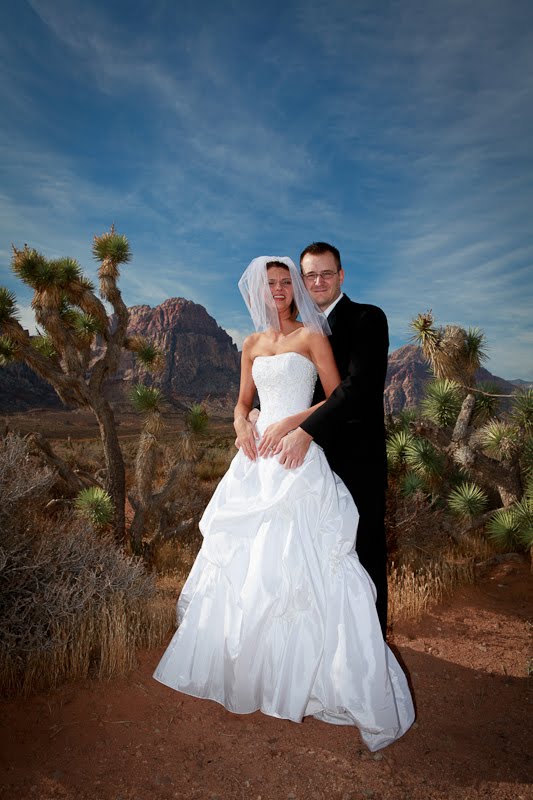 Scenic Weddings in Las Vegas Red Rock Canyon Weddings