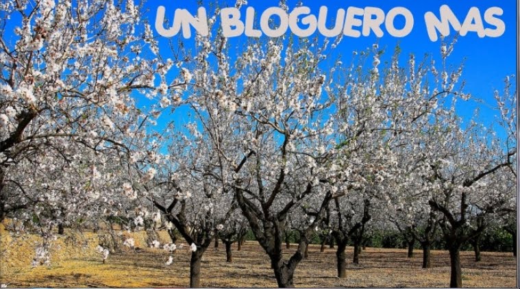 Un Bloguero +