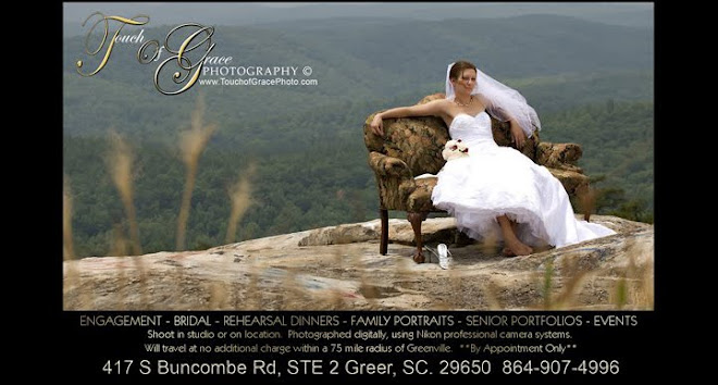 Greenville, Greer SC Portrait and Wedding Photographer  - Touch of Grace Photography