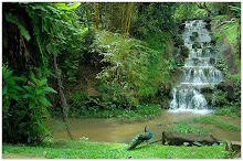KL Bird Park