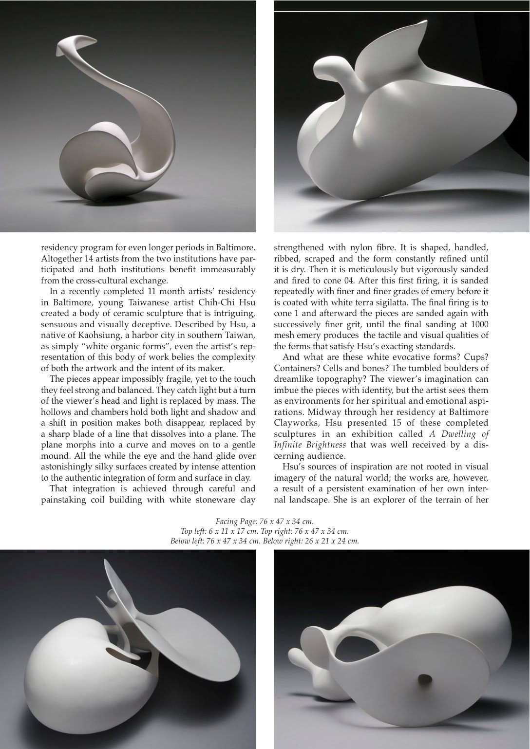 Ceramics Art and Perception No. 81 2010 有距離地介入現實