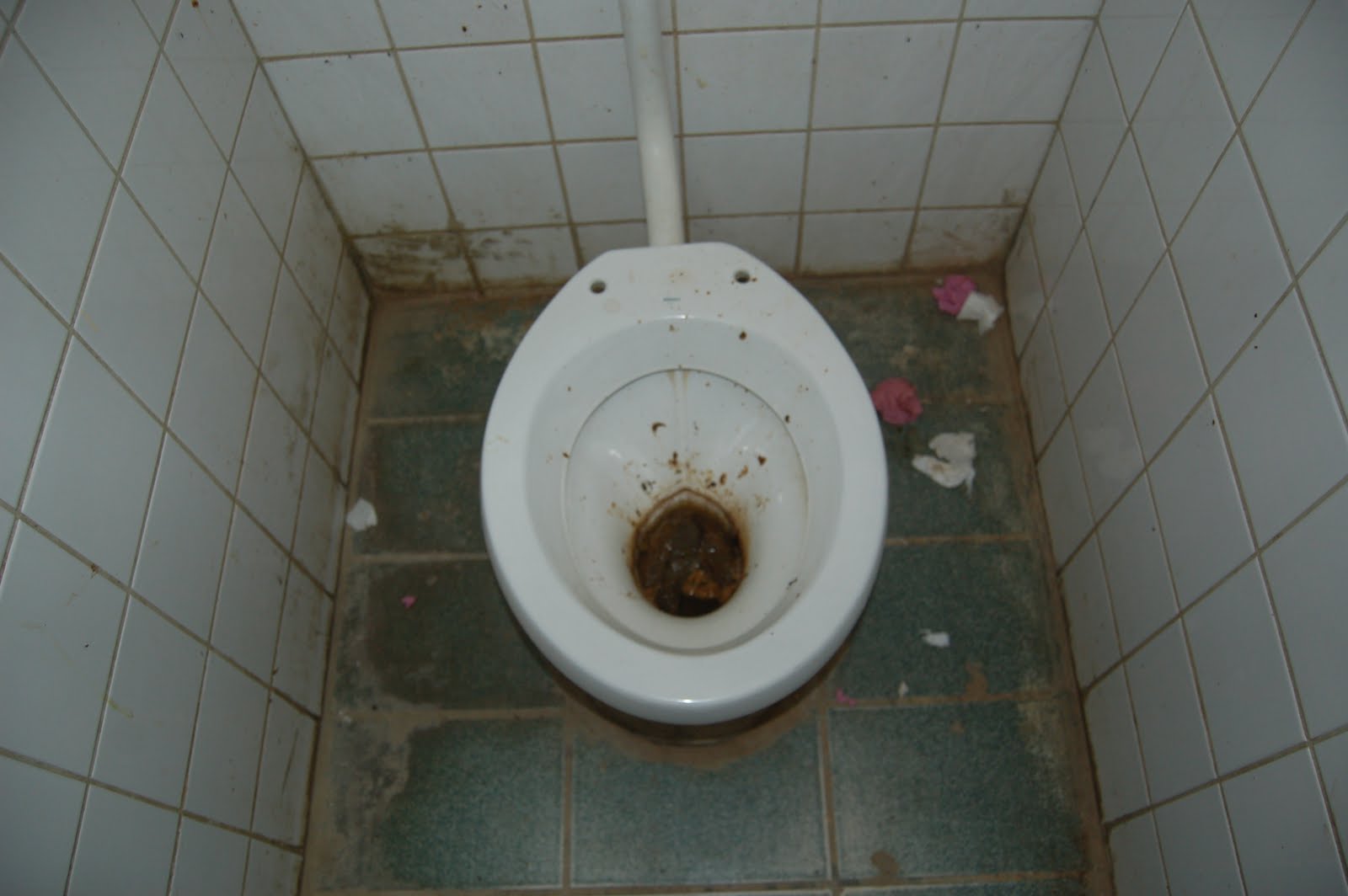 What is the Meaning of toilet in Urdu DriverLayer Search