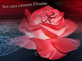 Beğeniyle ve severek okunulan yazı ve hikayeler: O(s.a.v) ALEMLERE