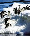 [antarctique.jpeg]