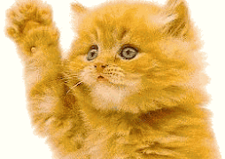 !HOLA AMIGOS MIREN MI BLOG!