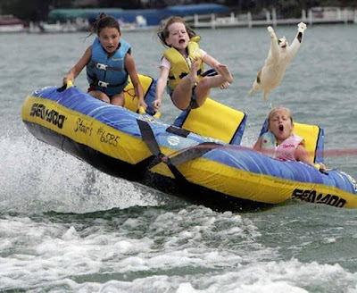 picture of a cat flying out of a raft