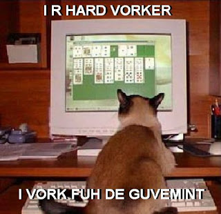 photo of a cat sitting at a computer and paying solitaire.