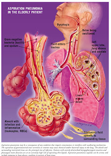 Awesome Anatomy: Human Respiratory System