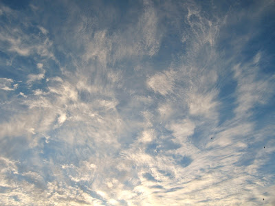 Transfigurations: September 2009