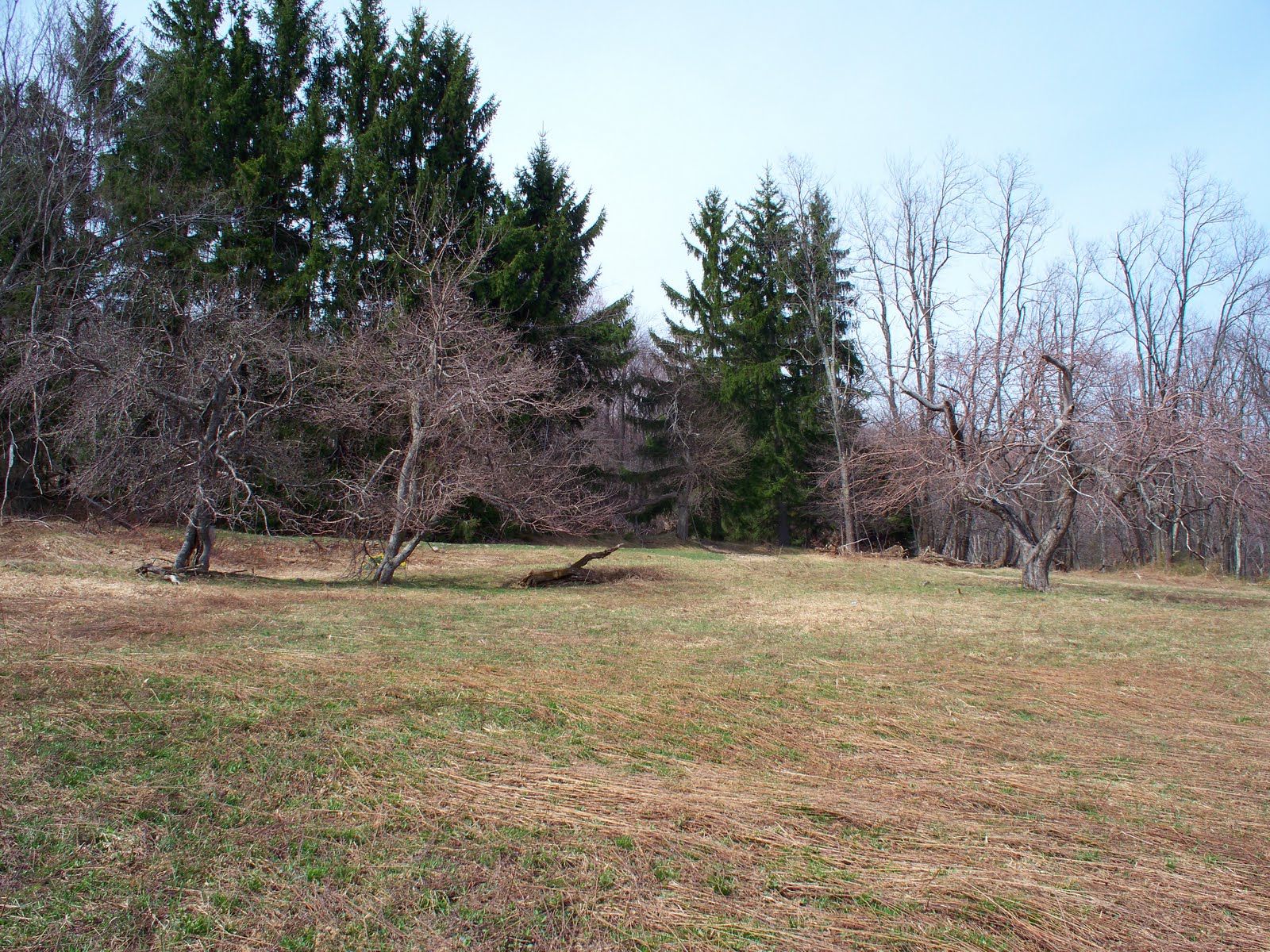 Laurel Hill Settlement Brown's Farm Browns Farm in Early April