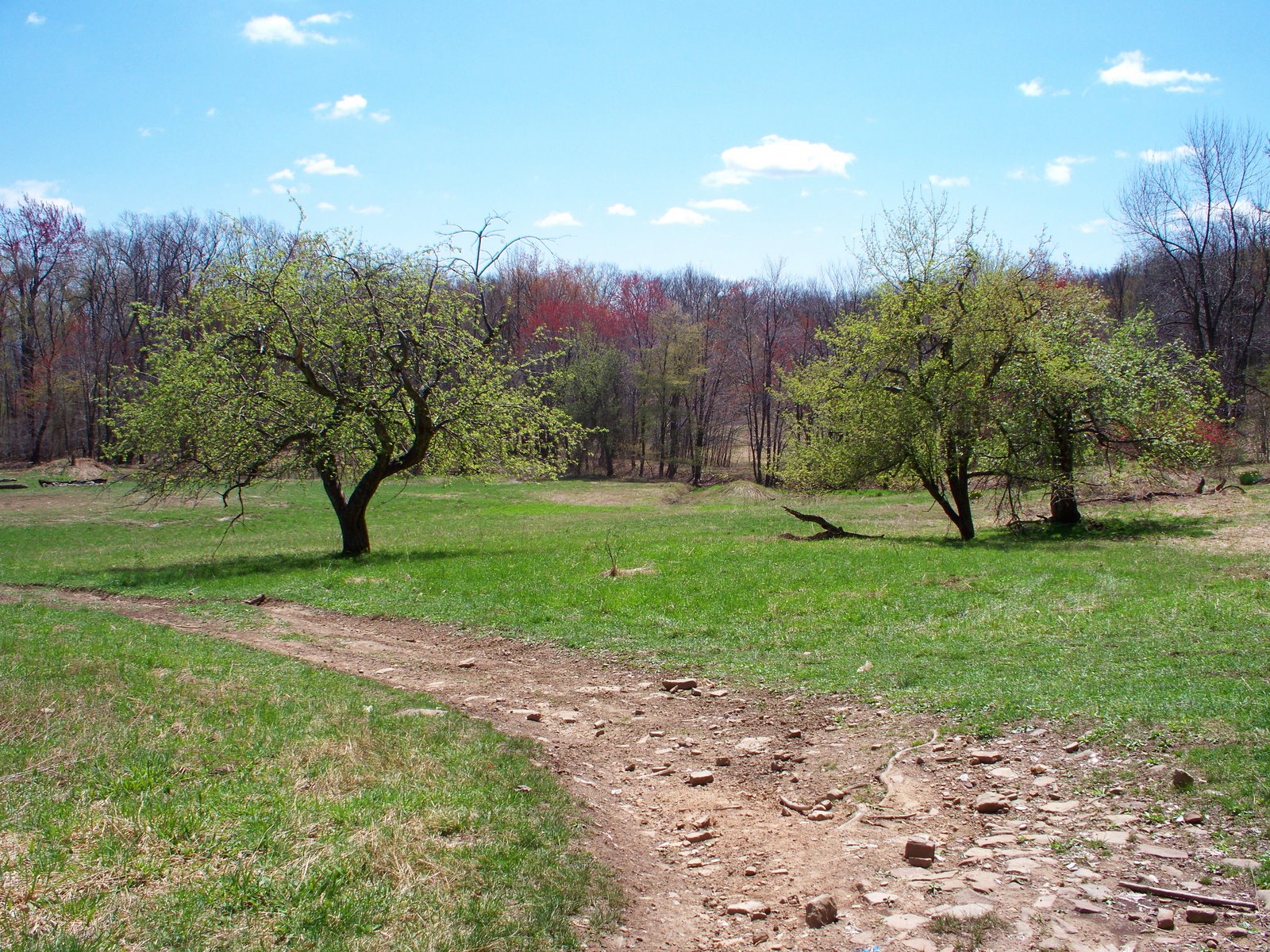 Laurel Hill Settlement Brown's Farm The Three Sisters at Browns Farm