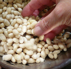 navy pinchers penny bean soup beans