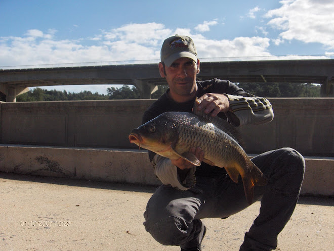 Carpa Comum 4,6 kg 0utubro 2007