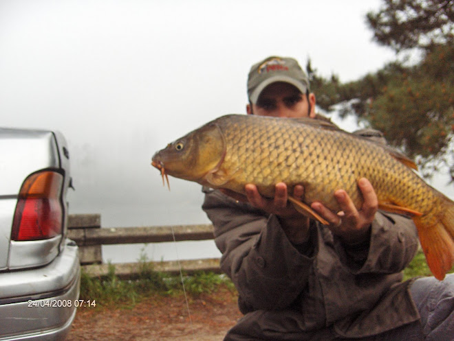 Carpa com 4,3 kg cernada 24 Abril 2008