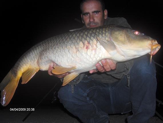 Carpa 7,8 kg 4 Abril 2009