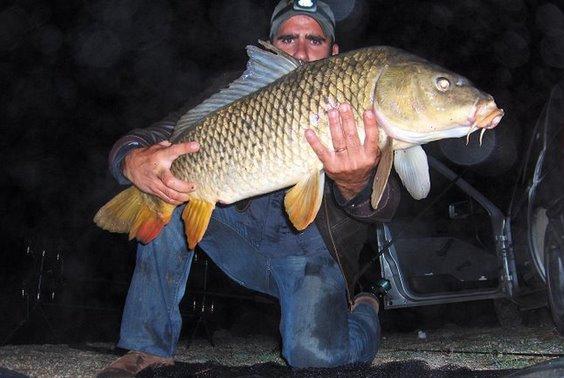 Carpa com 9,2 kg granjal 7 de setembro 2008