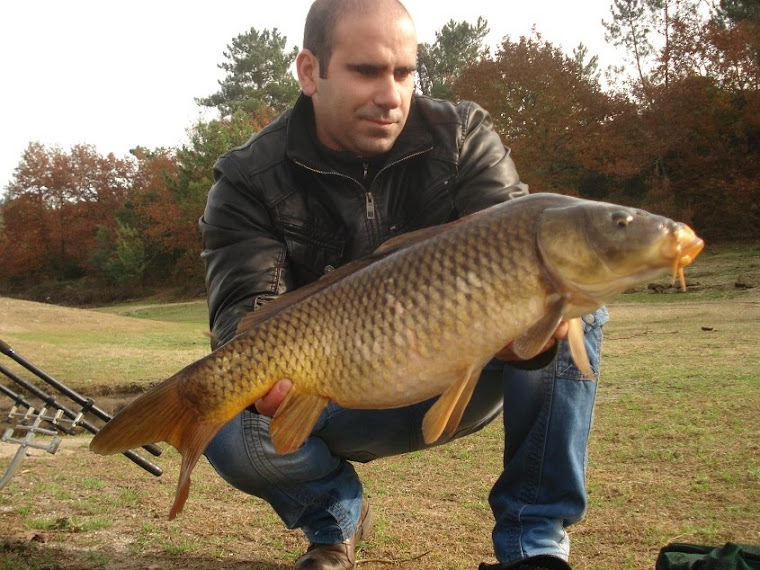 11 Dezembro 2010... os 3 primeiros peixes desferraram , mas ainda saíu uma carpa e um barbo