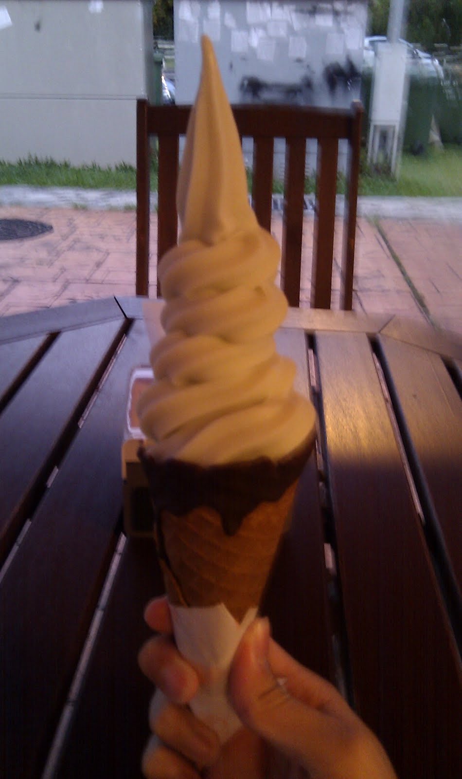 你今天BLOG了吗？ 181 Korea Ice Cream