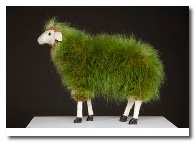 grass sheep