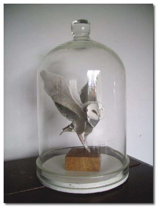 Paper Birds by Anna-Wili Highfield