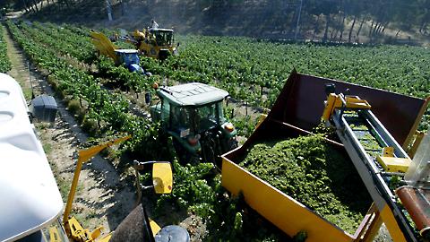 [espanja_viini_124142b.jpg]