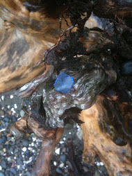 Beach glass on driftwood