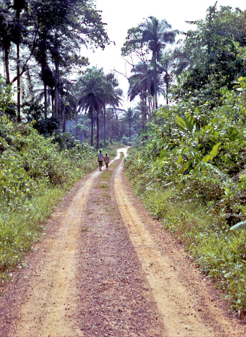 the main road to Foindu (Nongowa)