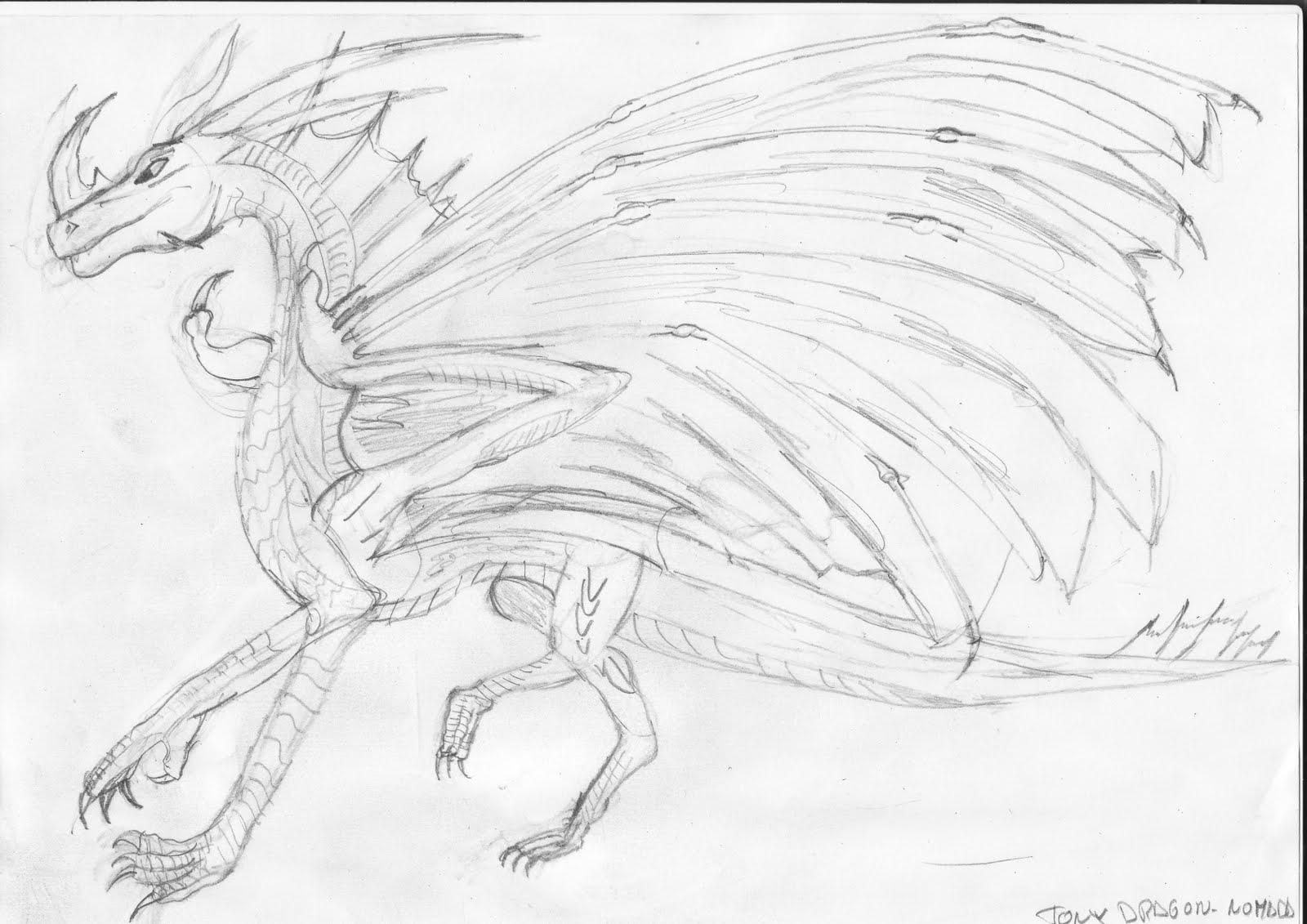 dragones de metal Dibujos de Dragones