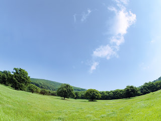 green wallpaper: Juli 2010