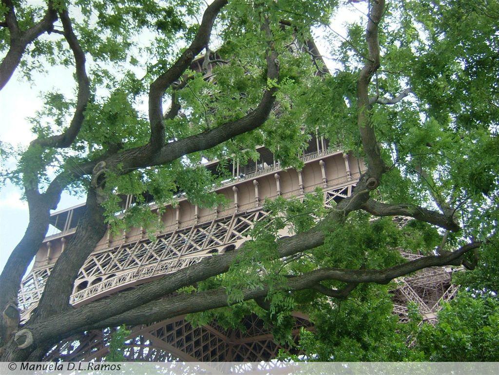 [Eiffel-2005-08+(18).jpg]