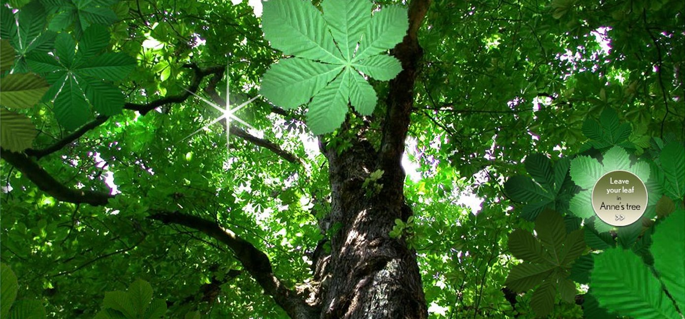 [anne.frank.tree.jpg]