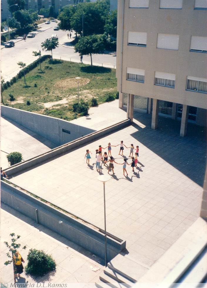 [liquidambar-celtis-1986.jpg]