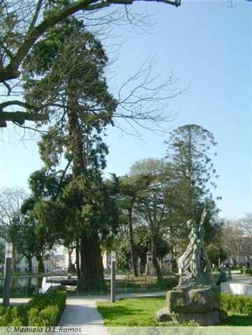 [Porto-Cordoaria+-3.jpg]