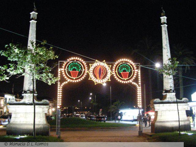 [platano-Passeio+alegre+0706.jpg]