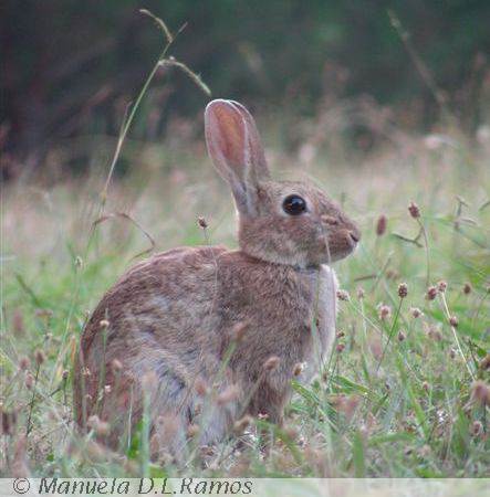 [parque+dacidade+0709.jpg]