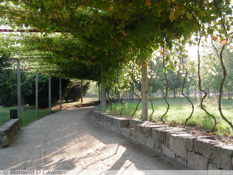 [parque+dacidade+0709+(1).jpg]