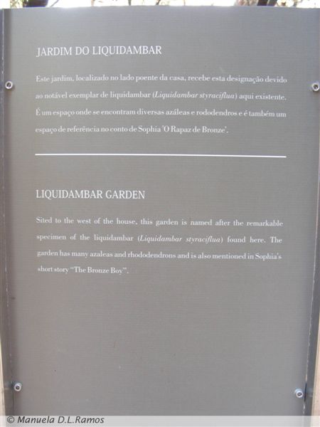[Liquidambar-botanico-porto-0711+(5).jpg]