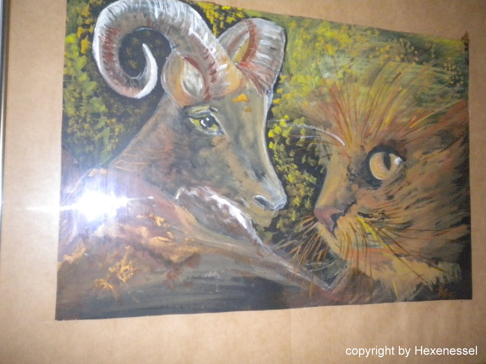 Favolina Und Junior Bilderbuch Alle Sehen Eine Katze Von