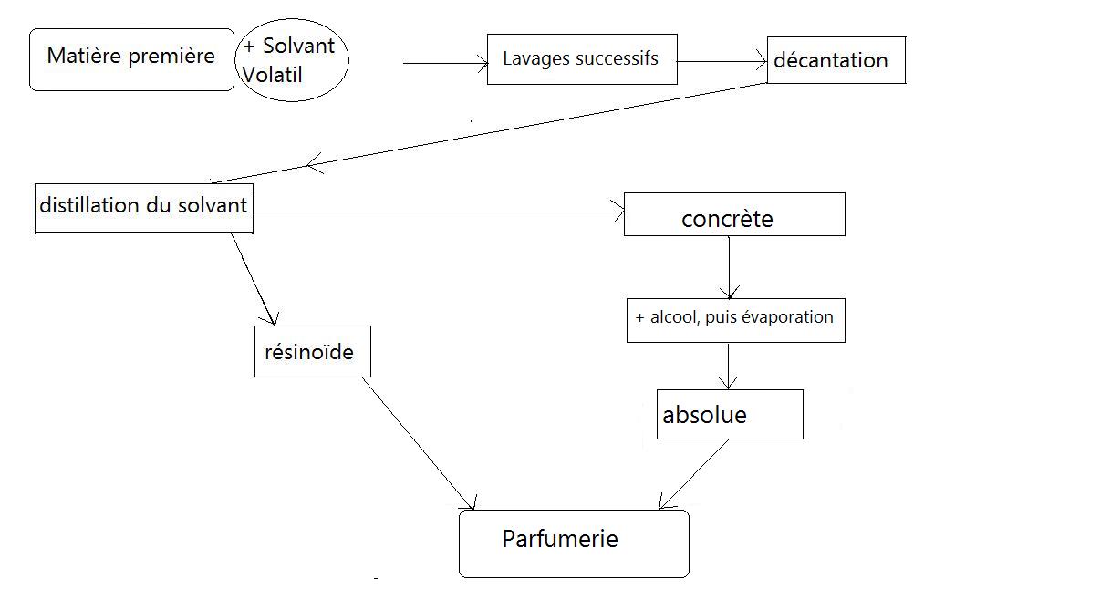 les-odeurs-les-parfums-et-l-homme-ii-les-techniques-d-extraction-des