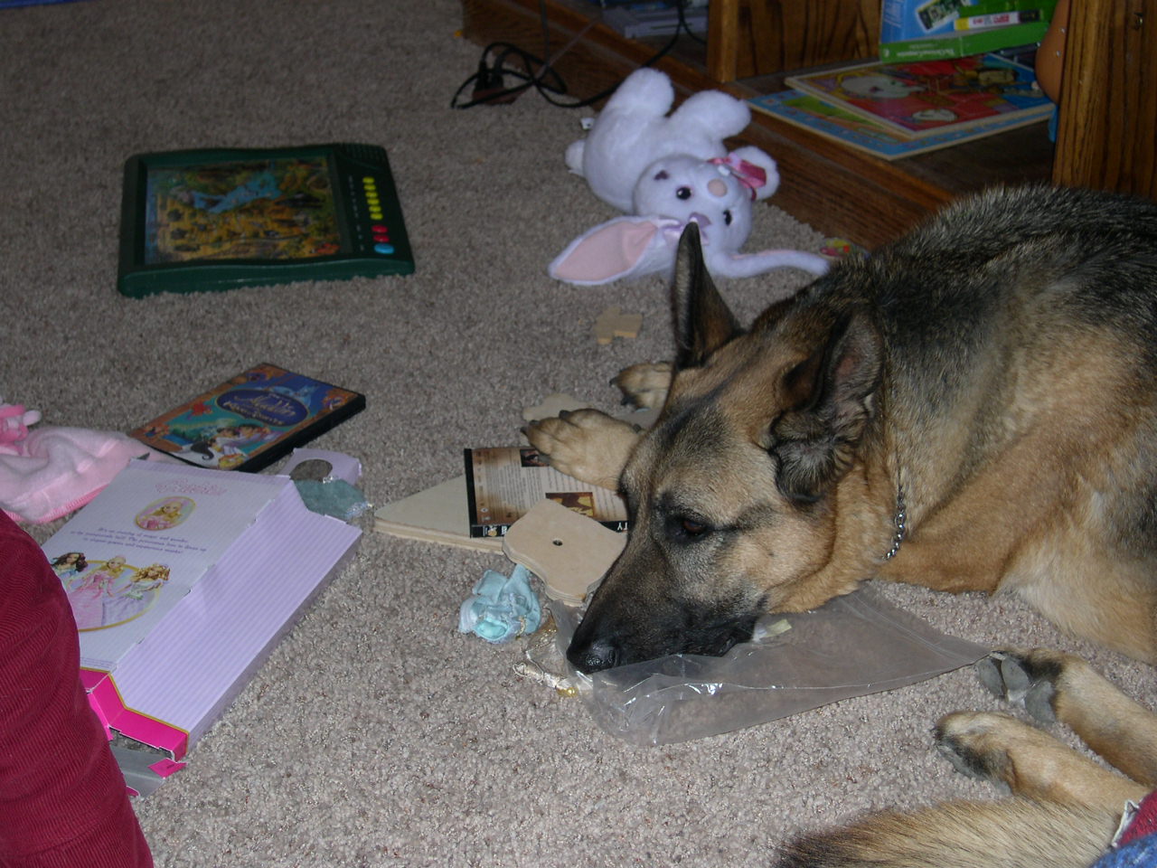 [Picturenov1+024.jpg]