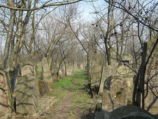Cimitirul Evreiesc din Ştefăneşti, Jud. Botoşani