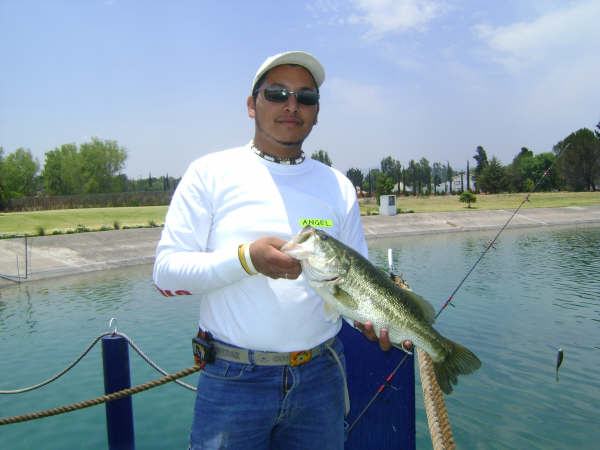 Angel Pulido