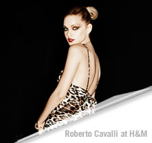 Indy Excluded from Roberto Cavalli