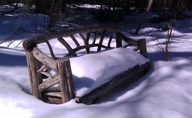 Snow covered wooden bench at DAR State Forest in Goshen, MA