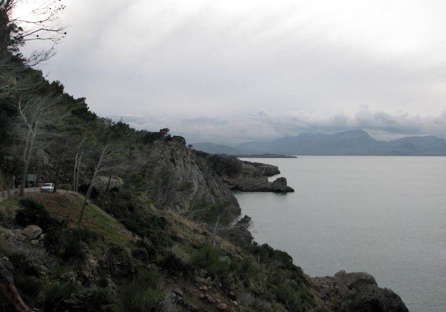 Mallorca es así también CAP DE PINAR ALCUDIA Mallorca es así también CAP DE PINAR ALCUDIA