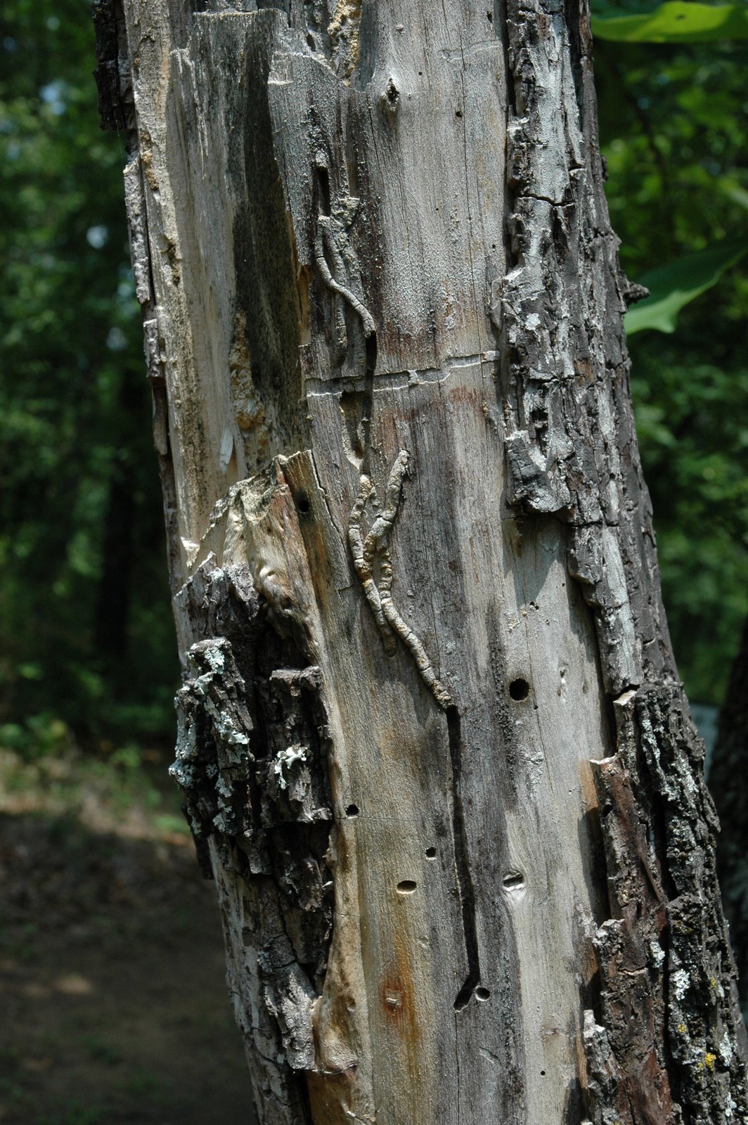 [DSC_1886.JPG]