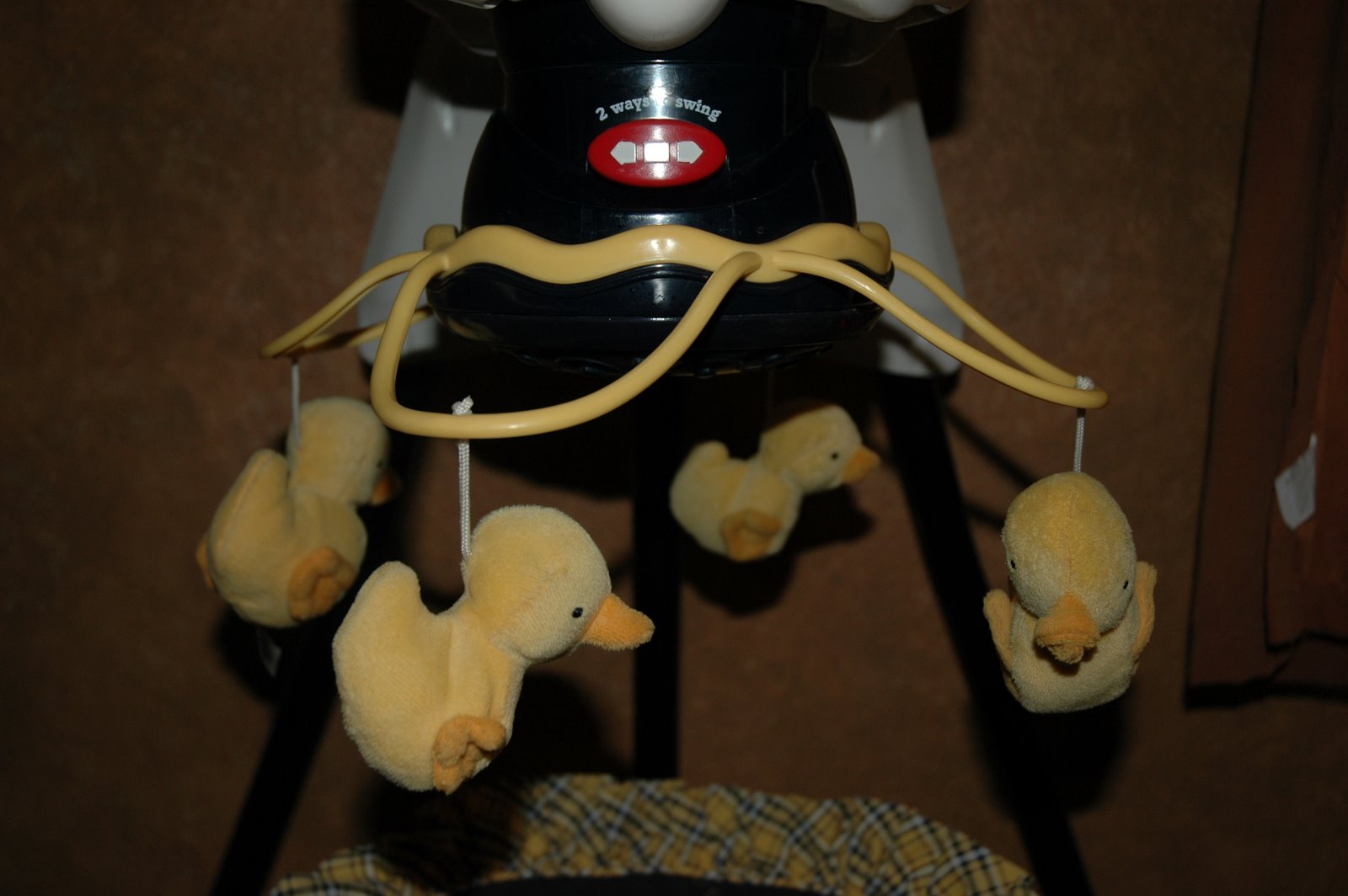 [DSC_3320.JPG]