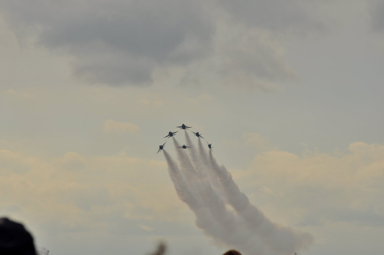 [DSC_9119.JPG]